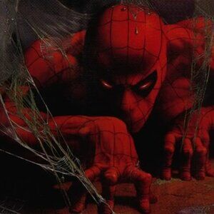 Meet your Posher, Spider